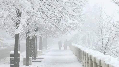 衣服架怎么掛背心