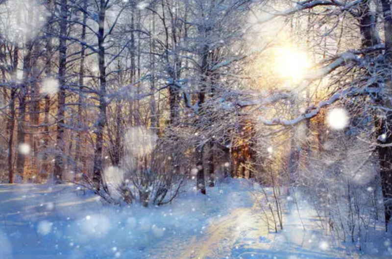 2021年的冬天是暖冬還是冷冬--注意保暖