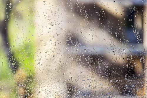 衣柜里衣架上有爬蟲(chóng)