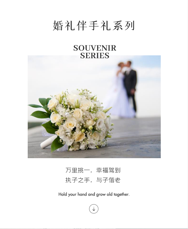 全國知名品牌王的衣架