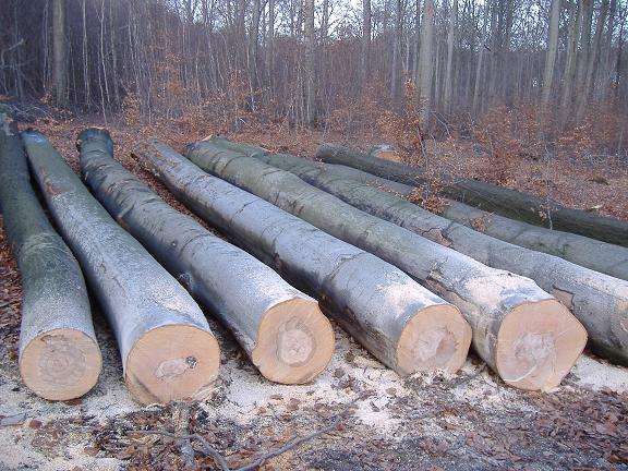 實(shí)木衣架品牌華恩