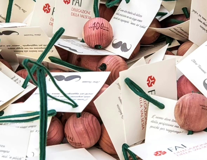 香樟木球vs雪松木球