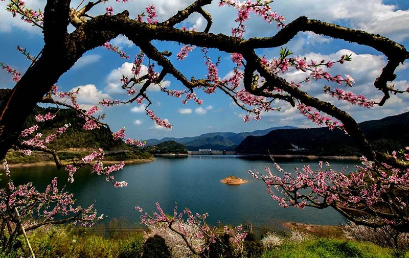 衣架總代理怎么樣，衣架代理商好做嗎？