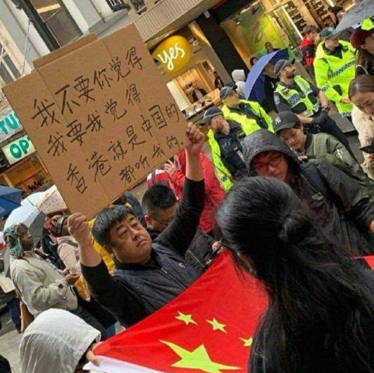 衣架櫸木松木哪個好