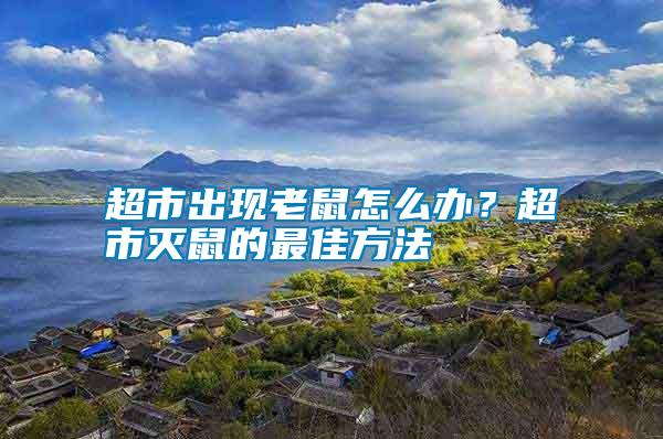 超市出現(xiàn)老鼠怎么辦？超市滅鼠的最佳方法