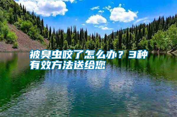 被臭蟲咬了怎么辦？3種有效方法送給您