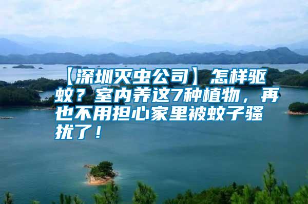 【深圳滅蟲(chóng)公司】怎樣驅(qū)蚊？室內(nèi)養(yǎng)這7種植物，再也不用擔(dān)心家里被蚊子騷擾了！
