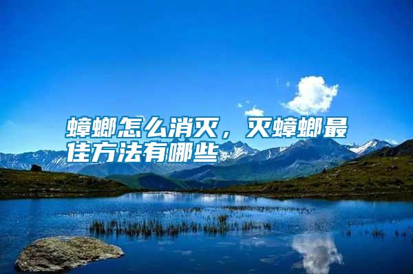 蟑螂怎么消滅，滅蟑螂最佳方法有哪些