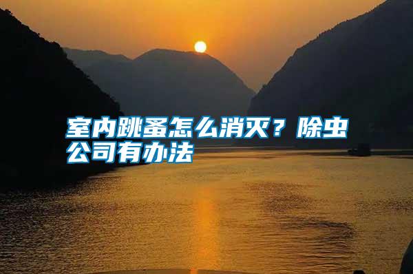 室內(nèi)跳蚤怎么消滅？除蟲公司有辦法