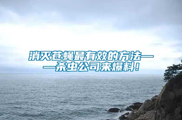 消滅蒼蠅最有效的方法——殺蟲公司來爆料！