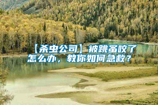 【殺蟲公司】被跳蚤咬了怎么辦，教你如何急救？