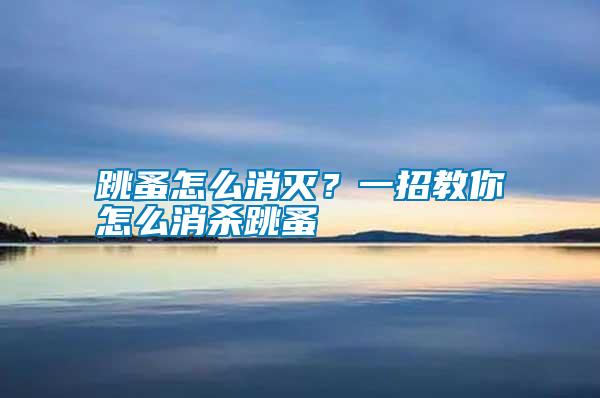 跳蚤怎么消滅？一招教你怎么消殺跳蚤