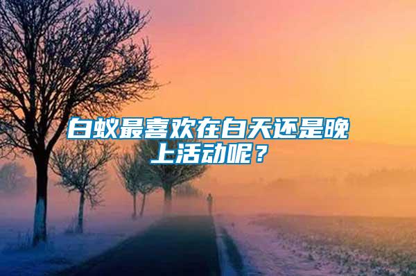 白蟻?zhàn)钕矚g在白天還是晚上活動呢？