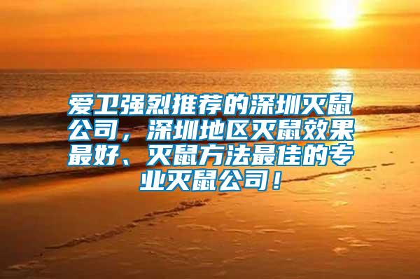 愛衛(wèi)強(qiáng)烈推薦的深圳滅鼠公司，深圳地區(qū)滅鼠效果最好、滅鼠方法最佳的專業(yè)滅鼠公司！