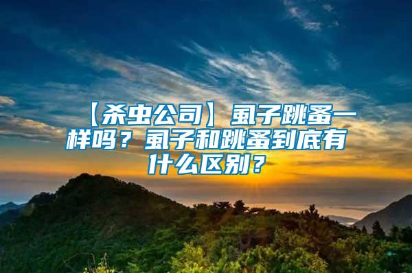 【殺蟲公司】虱子跳蚤一樣嗎？虱子和跳蚤到底有什么區(qū)別？
