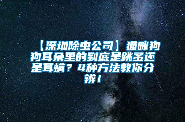【深圳除蟲公司】貓咪狗狗耳朵里的到底是跳蚤還是耳螨？4種方法教你分辨！