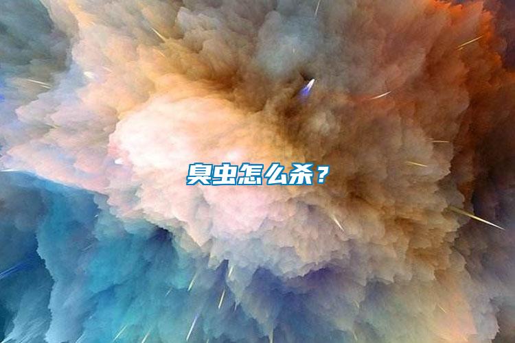 臭蟲怎么殺？