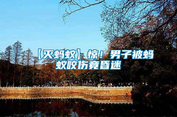 【滅螞蟻】驚！男子被螞蟻咬傷竟昏迷