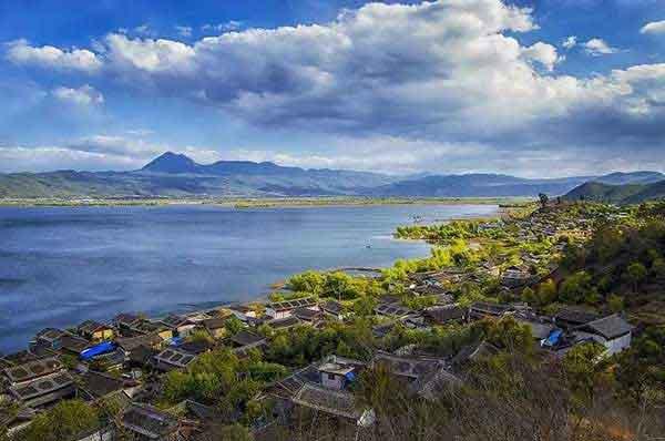 【深圳殺蟲滅鼠公司】如何才能消滅臭蟲？遠(yuǎn)離臭蟲？