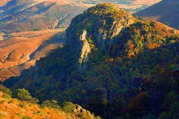 臭蟲怎么消滅，殺臭蟲公司介紹家庭臭蟲的3個來源途徑