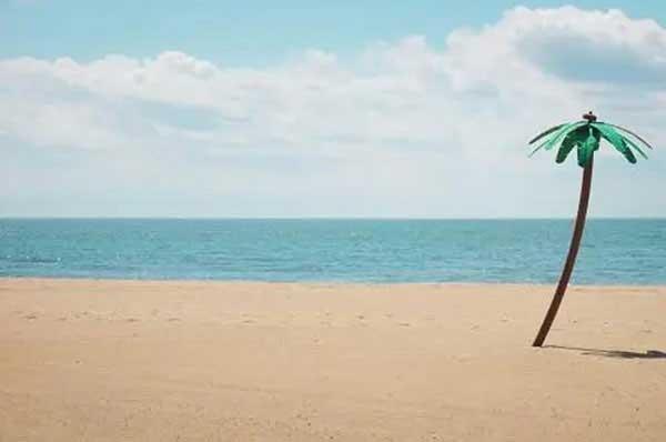 蟑螂為什么繁殖的那么快？