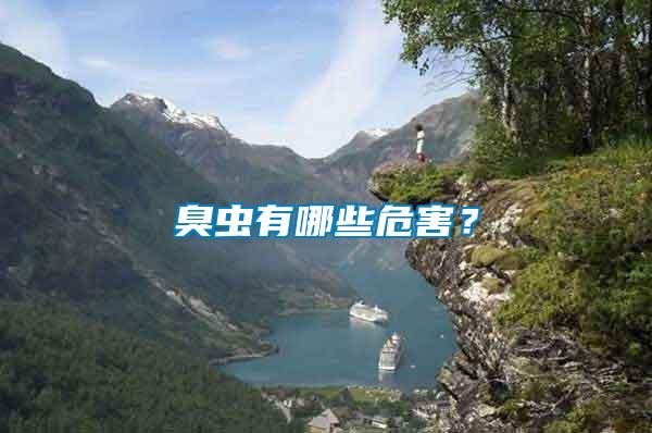 臭蟲有哪些危害？