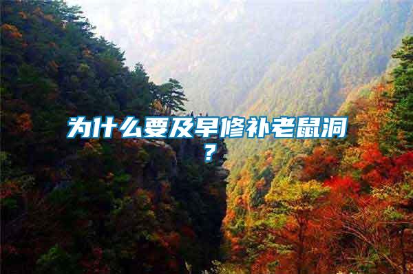 為什么要及早修補(bǔ)老鼠洞？