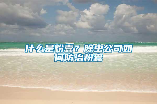 什么是粉蠹？除蟲公司如何防治粉蠹