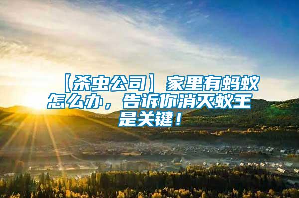 【殺蟲公司】家里有螞蟻怎么辦，告訴你消滅蟻王是關鍵！