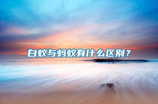 白蟻與螞蟻有什么區(qū)別？