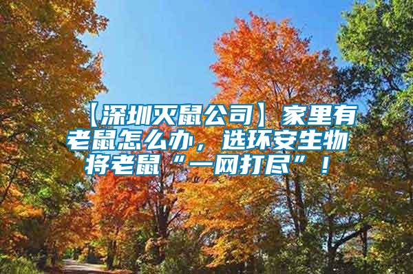 【深圳滅鼠公司】家里有老鼠怎么辦，選環(huán)安生物將老鼠“一網(wǎng)打盡”！