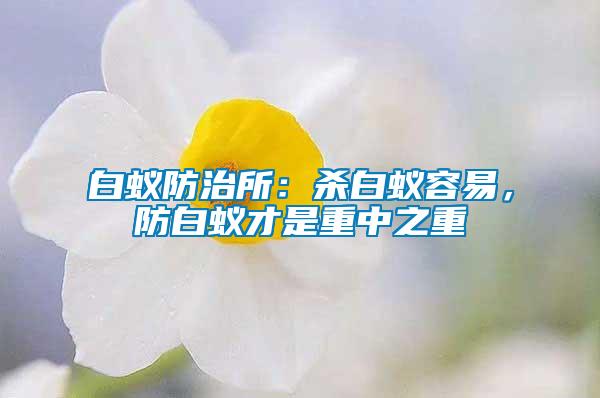 白蟻防治所：殺白蟻容易，防白蟻才是重中之重