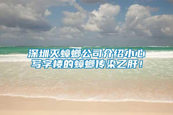 深圳滅蟑螂公司介紹小心寫字樓的蟑螂傳染乙肝！