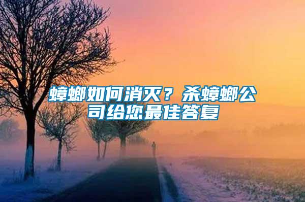 蟑螂如何消滅？殺蟑螂公司給您最佳答復