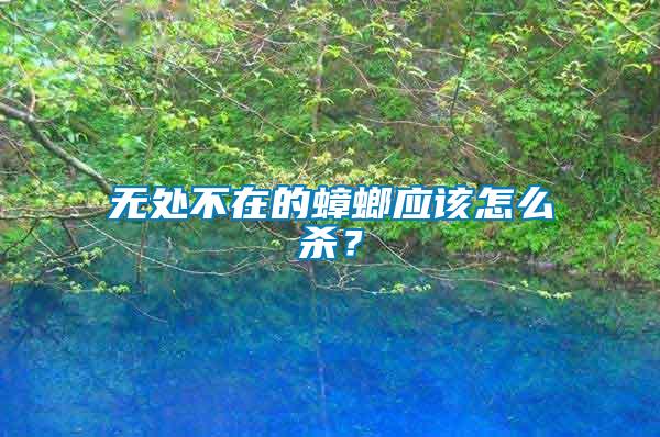 無處不在的蟑螂應(yīng)該怎么殺？