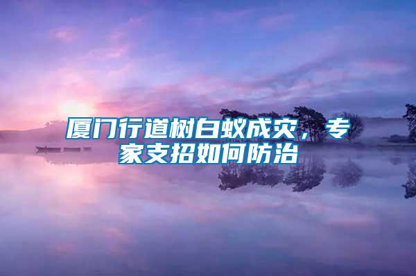 廈門行道樹白蟻成災(zāi)，專家支招如何防治