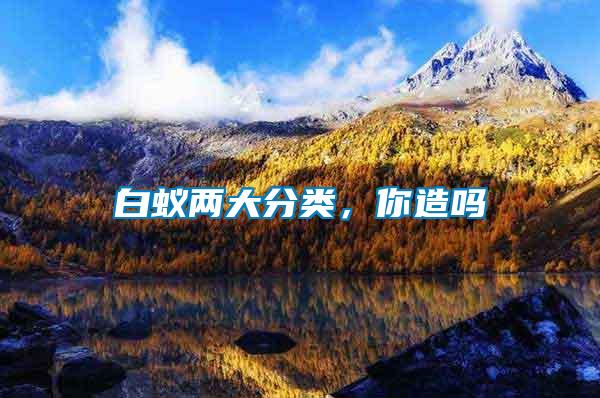 白蟻兩大分類，你造嗎