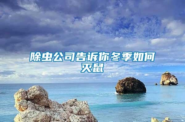 除蟲(chóng)公司告訴你冬季如何滅鼠