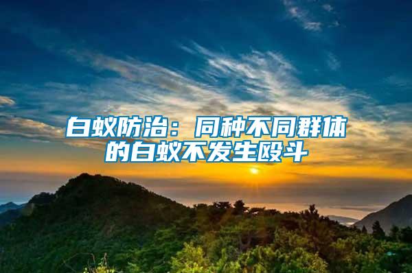 白蟻防治:同種不同群體的白蟻不發(fā)生毆斗