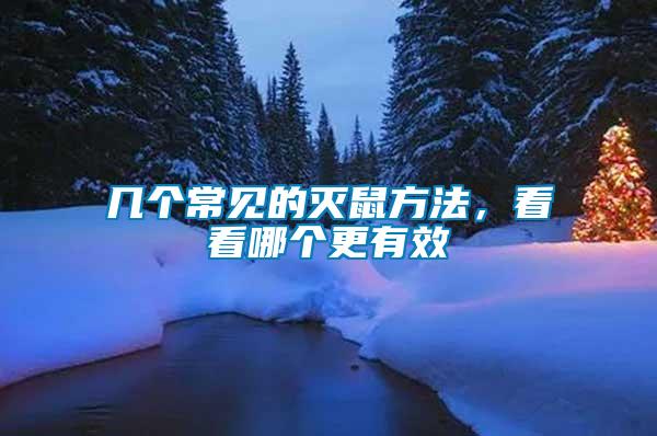 幾個常見的滅鼠方法，看看哪個更有效