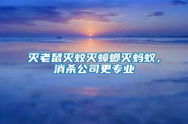 滅老鼠滅蚊滅蟑螂滅螞蟻，消殺公司更專業(yè)