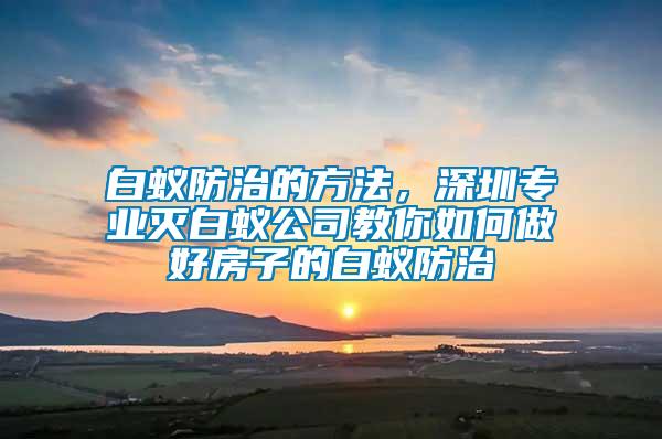白蟻防治的方法，深圳專業(yè)滅白蟻公司教你如何做好房子的白蟻防治