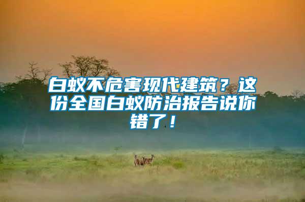 白蟻不危害現(xiàn)代建筑？這份全國白蟻防治報告說你錯了！