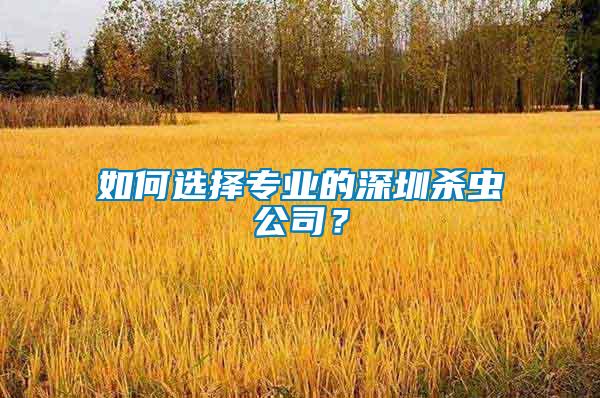 如何選擇專業(yè)的深圳殺蟲(chóng)公司？