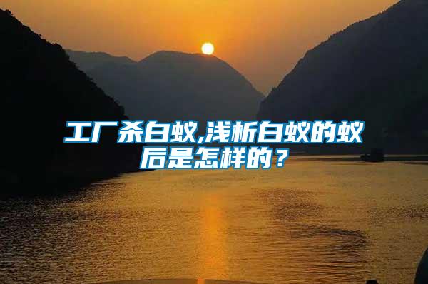 工廠殺白蟻,淺析白蟻的蟻后是怎樣的？