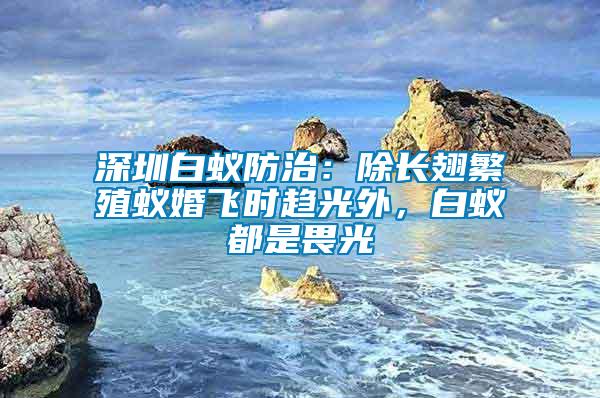 深圳白蟻防治：除長翅繁殖蟻婚飛時(shí)趨光外，白蟻都是畏光