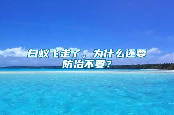 白蟻飛走了，為什么還要防治不要？