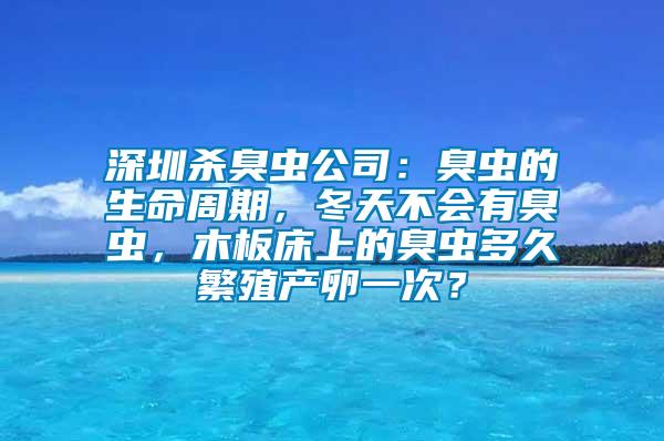 深圳殺臭蟲公司：臭蟲的生命周期，冬天不會有臭蟲，木板床上的臭蟲多久繁殖產(chǎn)卵一次？