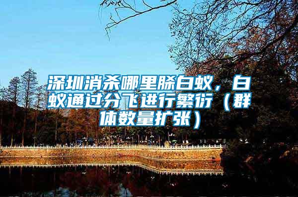 深圳消殺哪里脎白蟻，白蟻通過(guò)分飛進(jìn)行繁衍（群體數(shù)量擴(kuò)張）