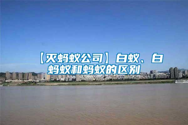 【滅螞蟻公司】白蟻、白螞蟻和螞蟻的區(qū)別